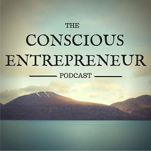 the conscious entrepreneur