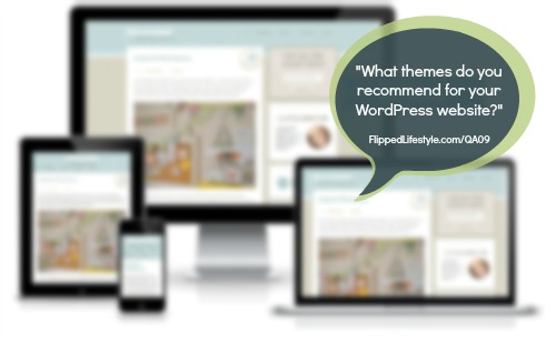 QA09-Wordpress-themes